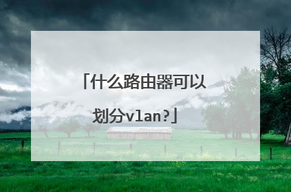 什么路由器可以划分vlan?