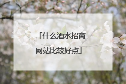 什么酒水招商网站比较好点