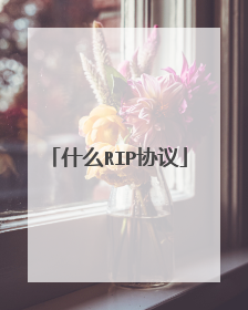 什么RIP协议