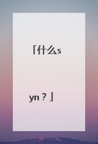 什么syn?
