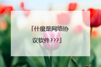 什麼是网络协议软件???