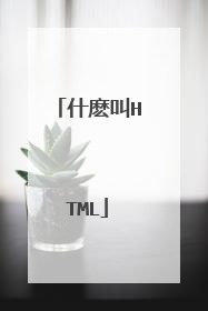 什麽叫HTML