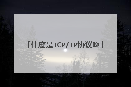 什麽是TCP/IP协议啊