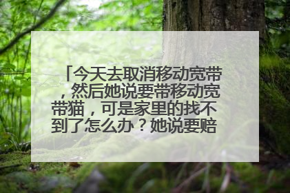今天去取消移动宽带,然后她说要带移动宽带猫,可是家里的找不到了怎么办?她说要赔偿200元的费用?