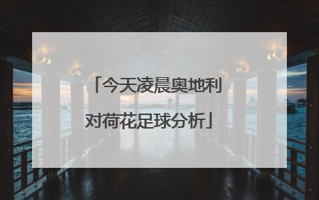 今天凌晨奥地利对荷花足球分析