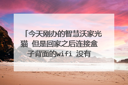 今天刚办的智慧沃家光猫 但是回家之后连接盒子背面的wifi 没有网络 请问怎么办
