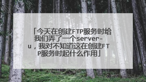 今天在创建FTP服务时给我们弄了一个server-u,我对不知道这在创建FTP服务时起什么作用