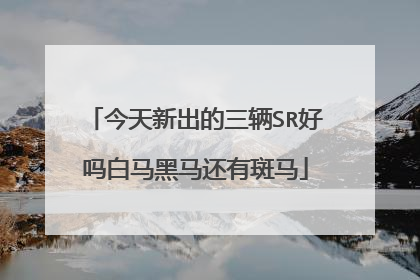 今天新出的三辆SR好吗白马黑马还有斑马