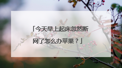 今天早上起床忽然断网了怎么办苹果？