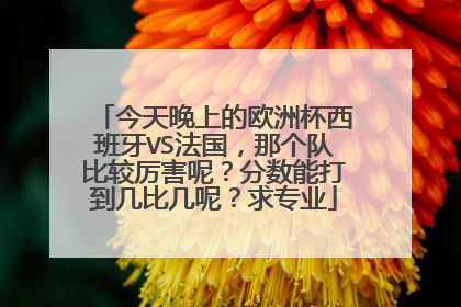 今天晚上的欧洲杯西班牙VS法国，那个队比较厉害呢？分数能打到几比几呢？求专业