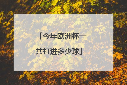 今年欧洲杯一共打进多少球