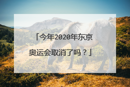 今年2020年东京奥运会取消了吗？