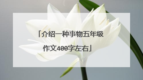 介绍一种事物五年级作文400字左右