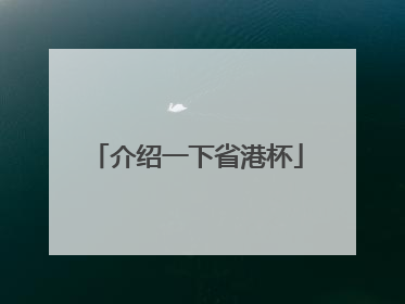介绍一下省港杯