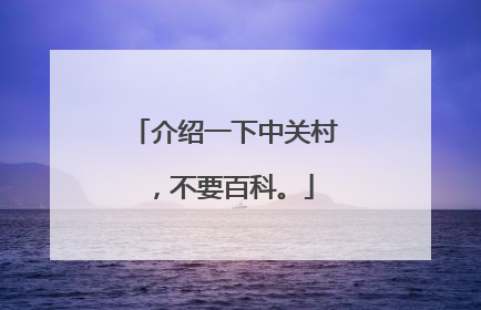 介绍一下中关村,不要百科。
