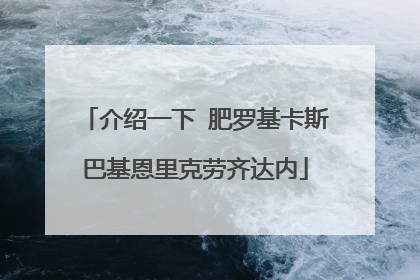 介绍一下 肥罗基卡斯巴基恩里克劳齐达内