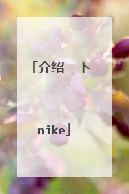 介绍一下nike