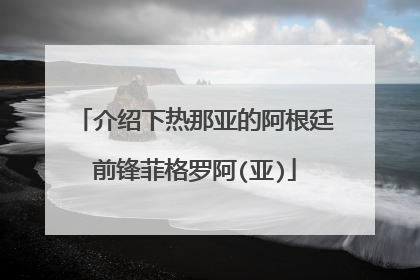 介绍下热那亚的阿根廷前锋菲格罗阿(亚)