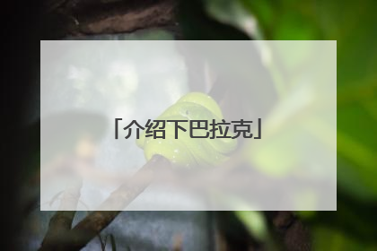 介绍下巴拉克