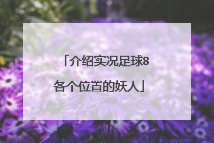 介绍实况足球8各个位置的妖人