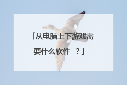 从电脑上下游戏需要什么软件 ？