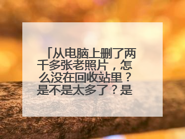 从电脑上删了两千多张老照片,怎么没在回收站里?是不是太多了?是不是已经永久删除了??