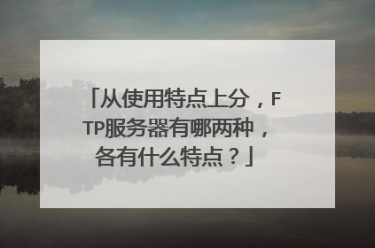 从使用特点上分，FTP服务器有哪两种，各有什么特点？