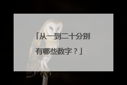 从一到二十分别有哪些数字？