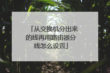 从交换机分出来的线再用路由器分线怎么设置