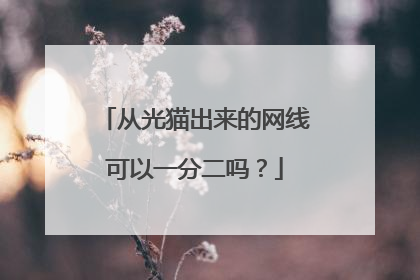从光猫出来的网线可以一分二吗？