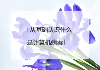 从基础认识什么是计算机病毒