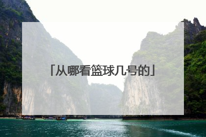 从哪看篮球几号的