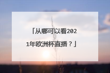 从哪可以看2021年欧洲杯直播？