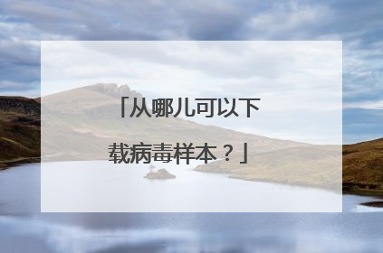 从哪儿可以下载病毒样本?