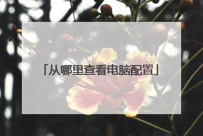 从哪里查看电脑配置