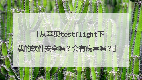 从苹果testflight下载的软件安全吗?会有病毒吗?