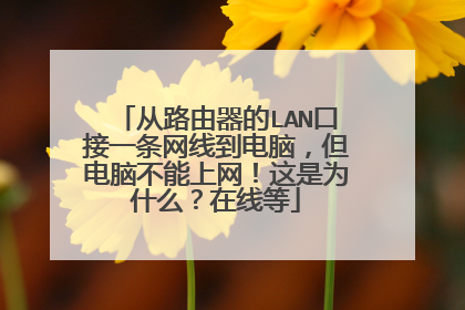 从路由器的LAN口接一条网线到电脑，但电脑不能上网！这是为什么？在线等
