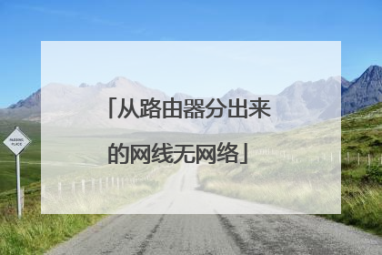 从路由器分出来的网线无网络