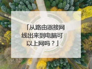 从路由器接网线出来到电脑可以上网吗？