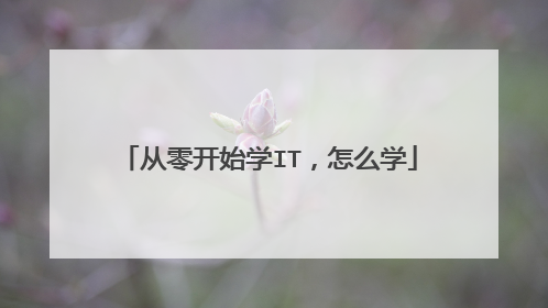 从零开始学IT,怎么学