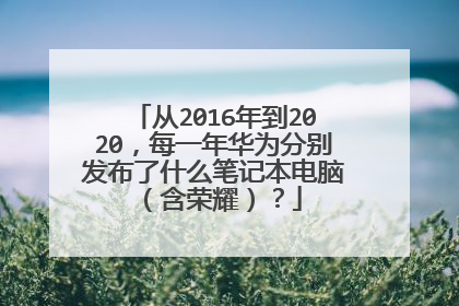 从2016年到2020，每一年华为分别发布了什么笔记本电脑（含荣耀）？