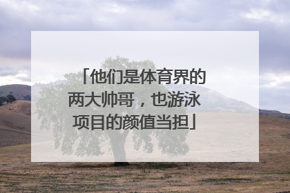 他们是体育界的两大帅哥，也游泳项目的颜值当担