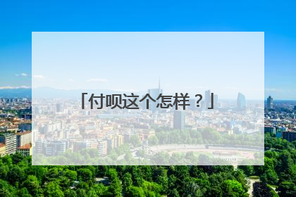 付呗这个怎样?