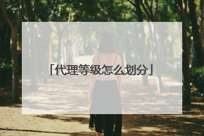 代理等级怎么划分