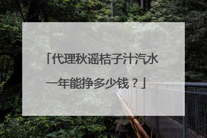 代理秋谣桔子汁汽水一年能挣多少钱?