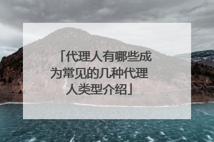 代理人有哪些成为常见的几种代理人类型介绍