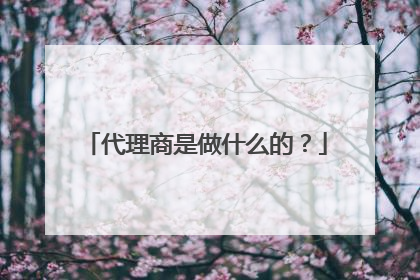 代理商是做什么的？