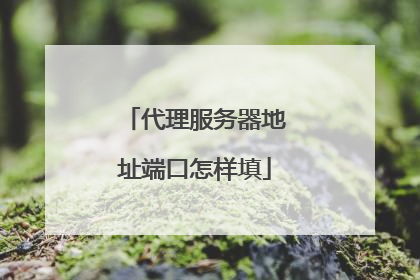 代理服务器地址端口怎样填