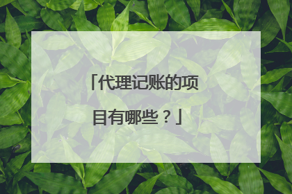 代理记账的项目有哪些?