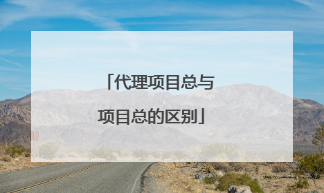 代理项目总与项目总的区别